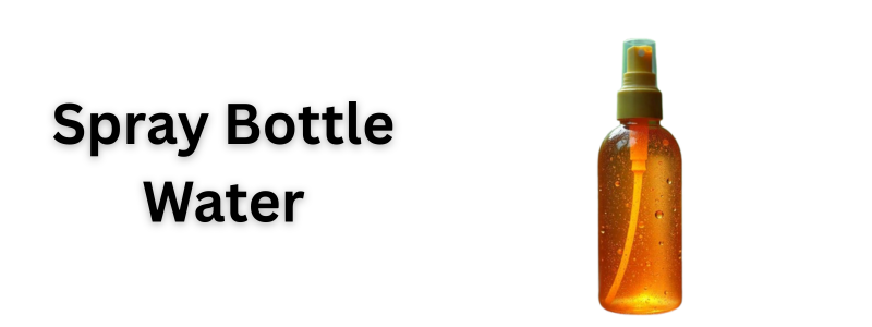 Spray Bottle Water