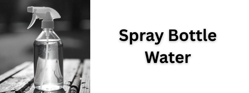 Spray Bottle Water