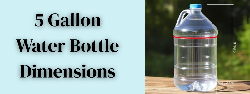 5 Gallon Water Bottle Dimensions